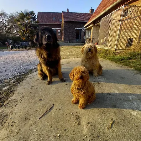 Déconnectez-vous Parmi Les Animaux Dans étable Casa di campagna *