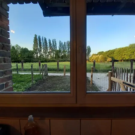 Deconnectez-vous Parmi Les Animaux Dans Etable