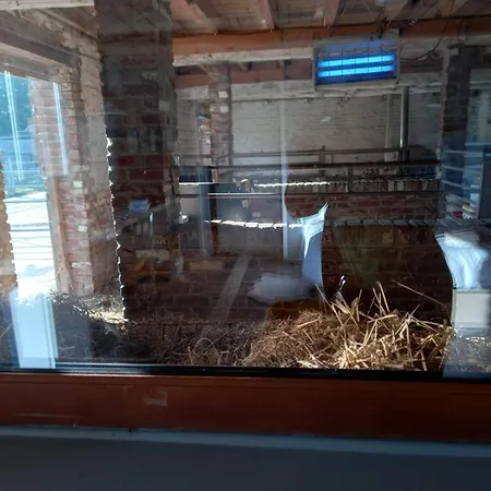 Déconnectez-vous Parmi Les Animaux Dans étable Casa di campagna