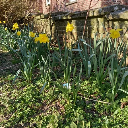 Deconnectez-vous Parmi Les Animaux Dans Etable *