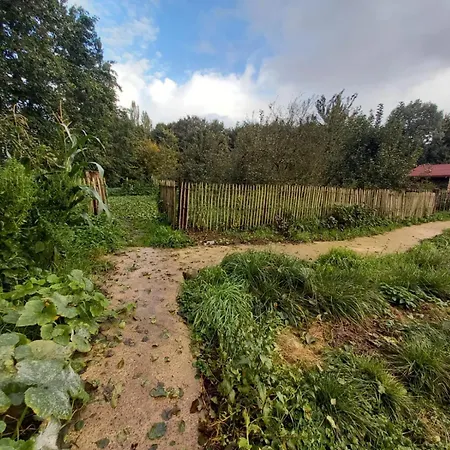 Deconnectez-vous Parmi Les Animaux Dans Etable Oxelaere