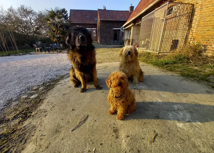 Déconnectez-vous Parmi Les Animaux Dans étable Casa di campagna *