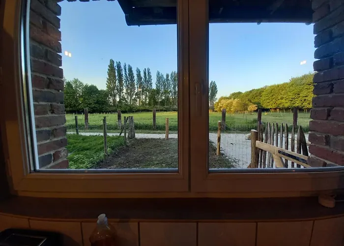 Déconnectez-vous Parmi Les Animaux Dans étable