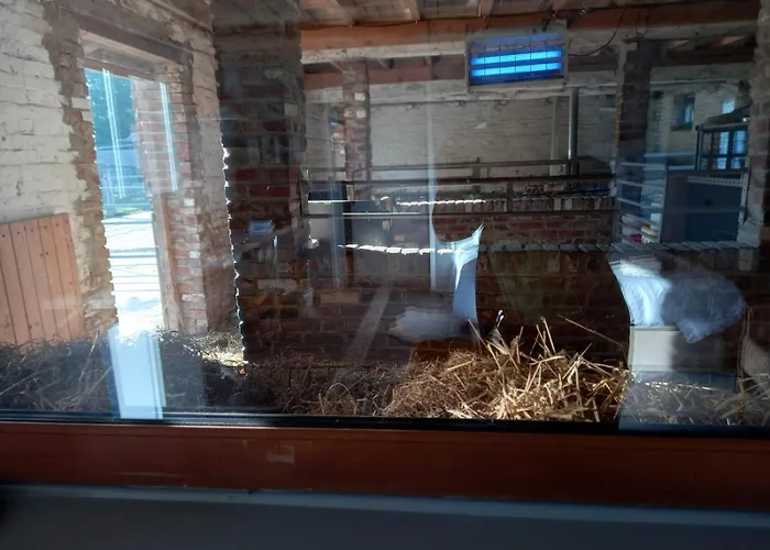 Déconnectez-vous Parmi Les Animaux Dans étable Casa di campagna